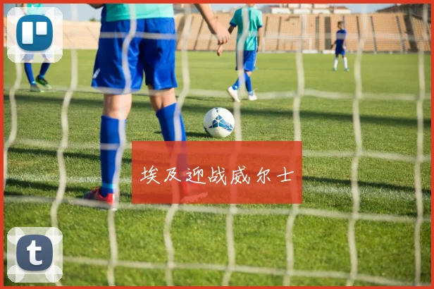 埃及迎战威尔士