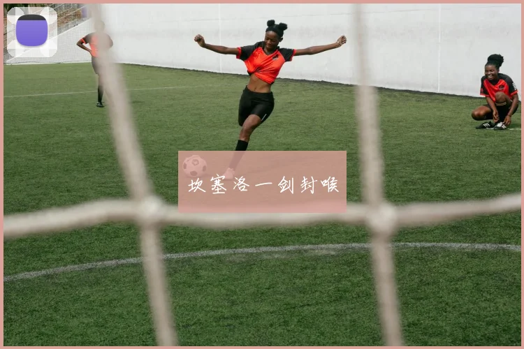 坎塞洛一剑封喉